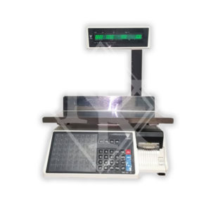 DIGI SM100 EV